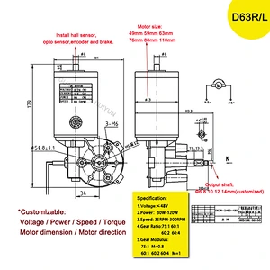 Custom Dc 12V 24V 36V 48V Worm Gear Motor