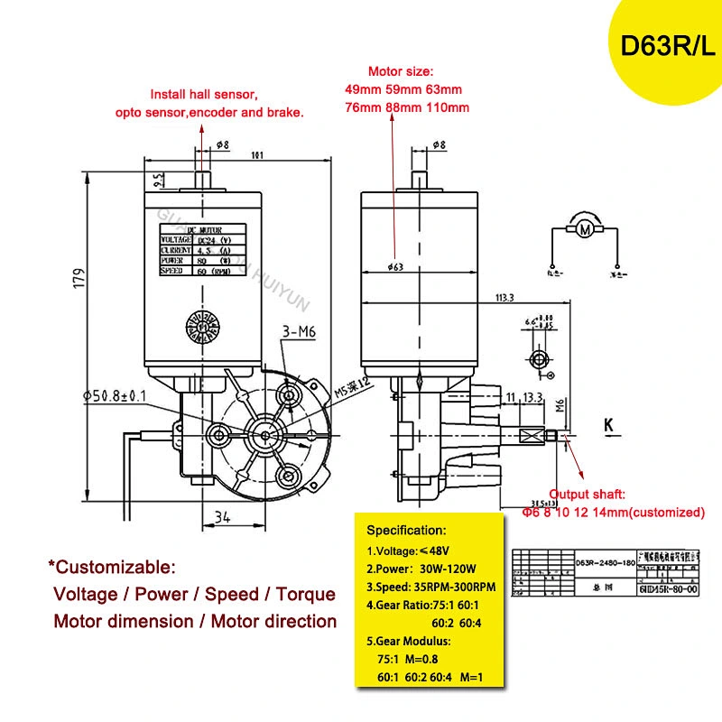 Custom Dc 12V 24V 36V 48V Worm Gear Motor