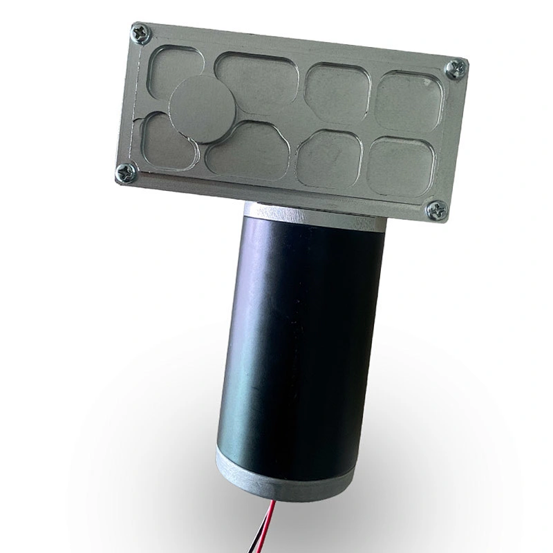 49mm Low Rpm High Torque Garbage Disposal Motor