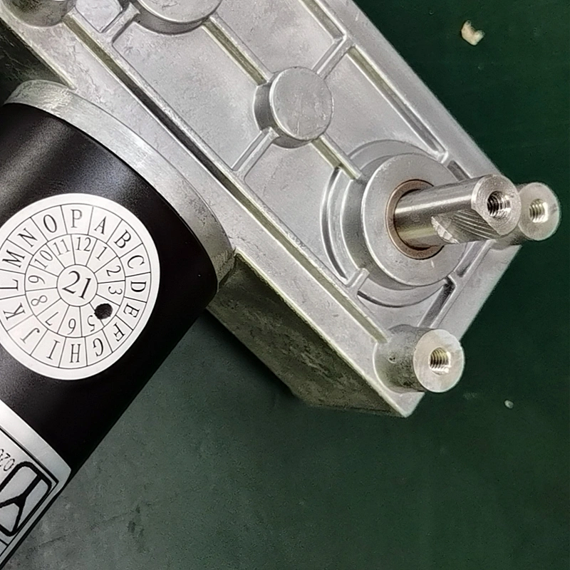 49mm Low Rpm High Torque Garbage Disposal Motor