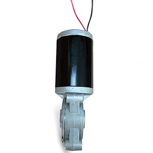 24V Dc Geared Motor