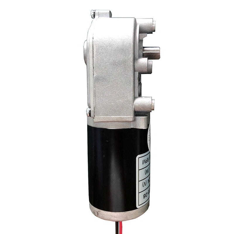 D49D3 High Torque Low Rpm Range Hood Motor