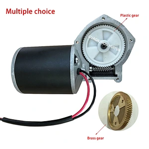 Custom Dc 12V 24V 36V 48V Worm Gear Motor