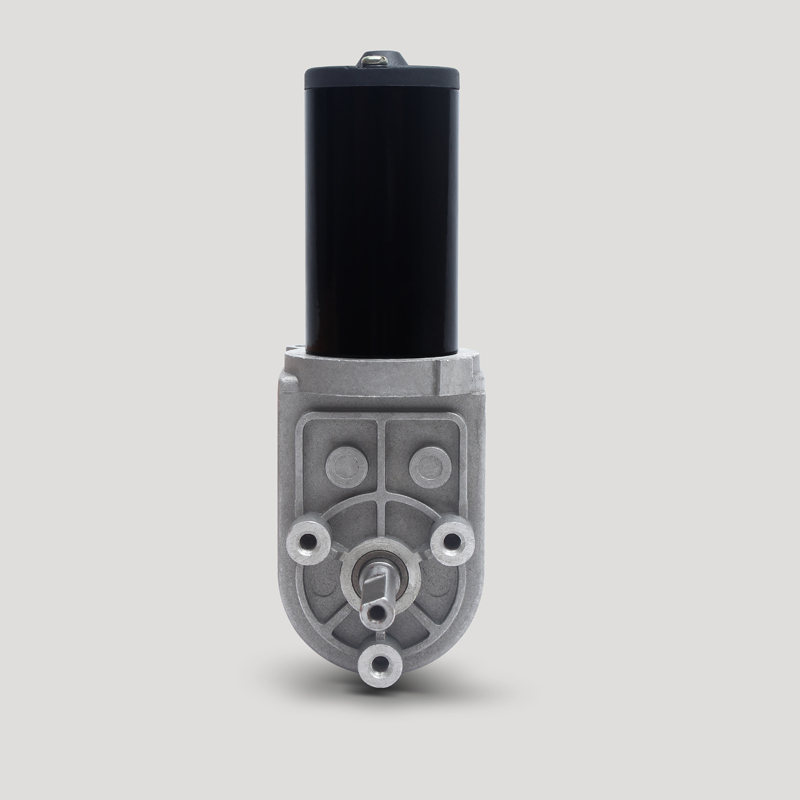 D49D3 High Torque Low Rpm Range Hood Motor