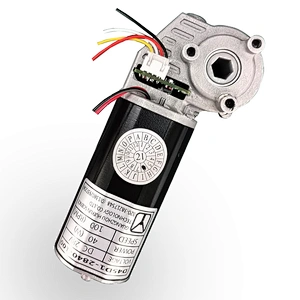 45mm Worm Geared Sit Stand Desk Motor