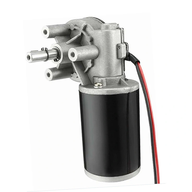 Custom Dc 12V 24V 36V 48V Worm Gear Motor