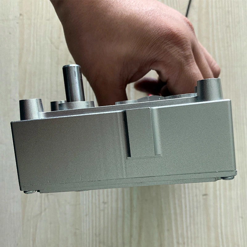 49mm Low Rpm High Torque Garbage Disposal Motor