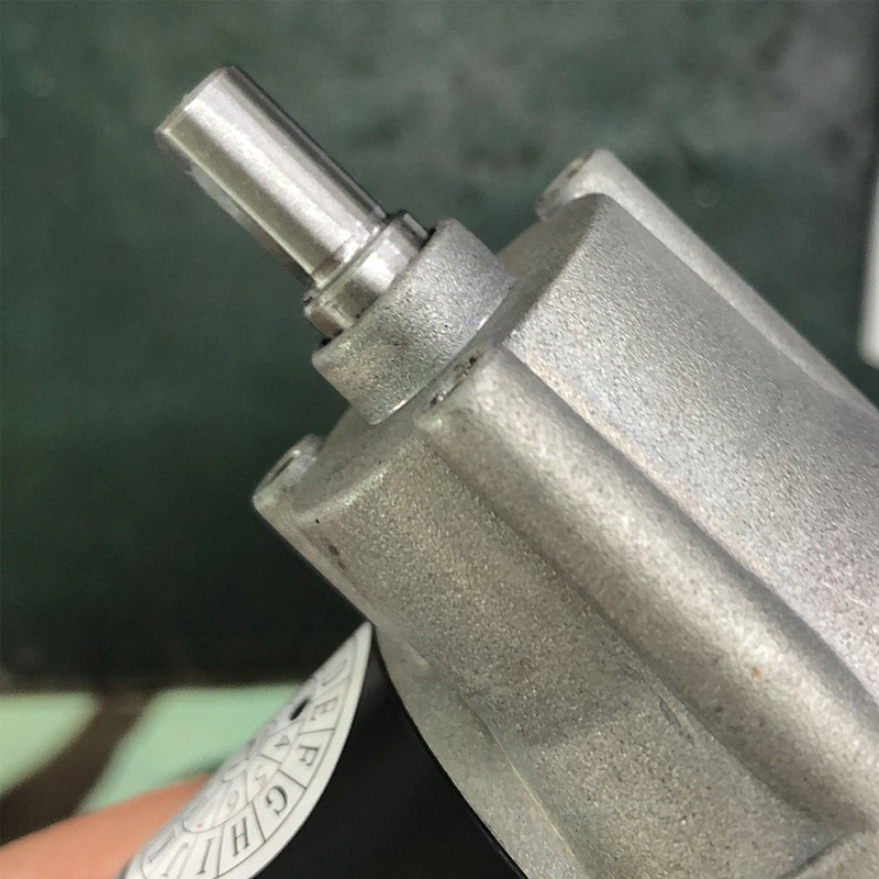 12V Industrial Dc Gearmotors