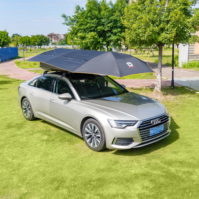 Manual Car Umbrella