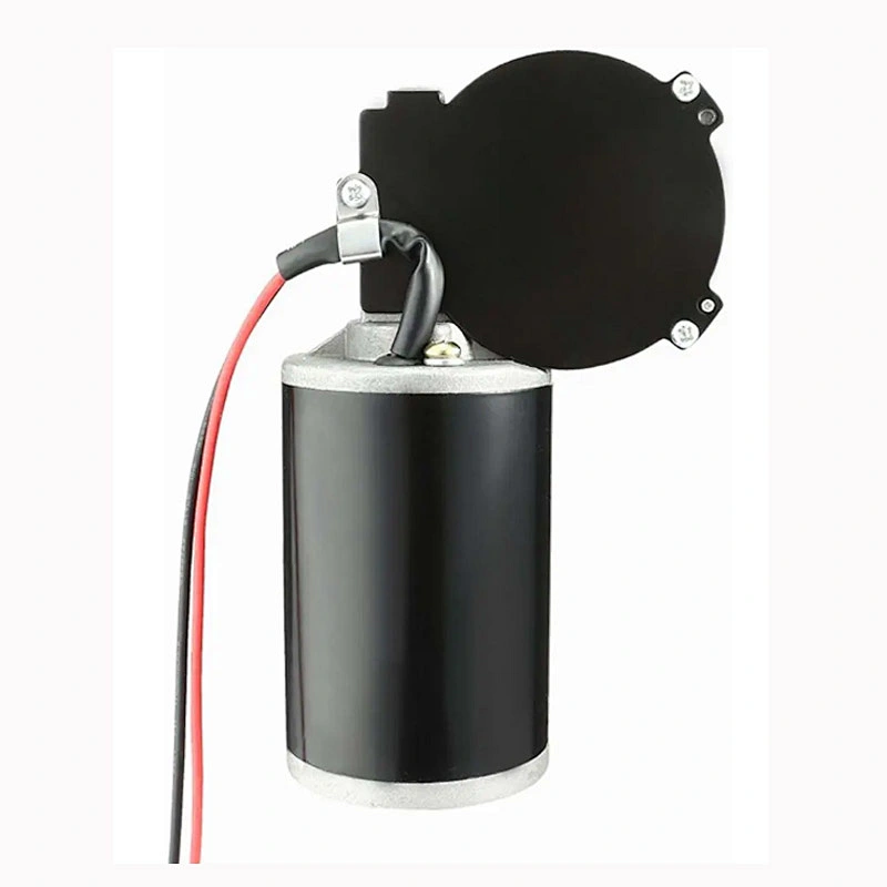 Custom Dc 12V 24V 36V 48V Worm Gear Motor