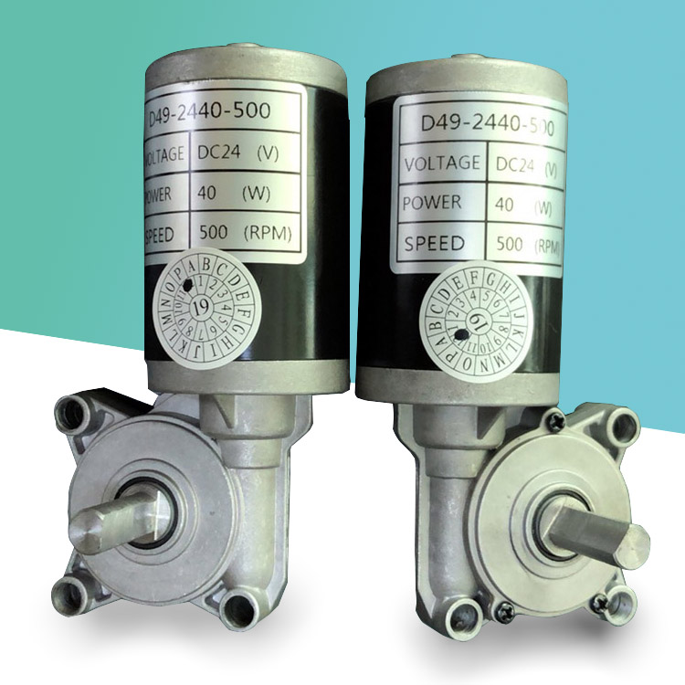 Worm Gear Dc Motor
