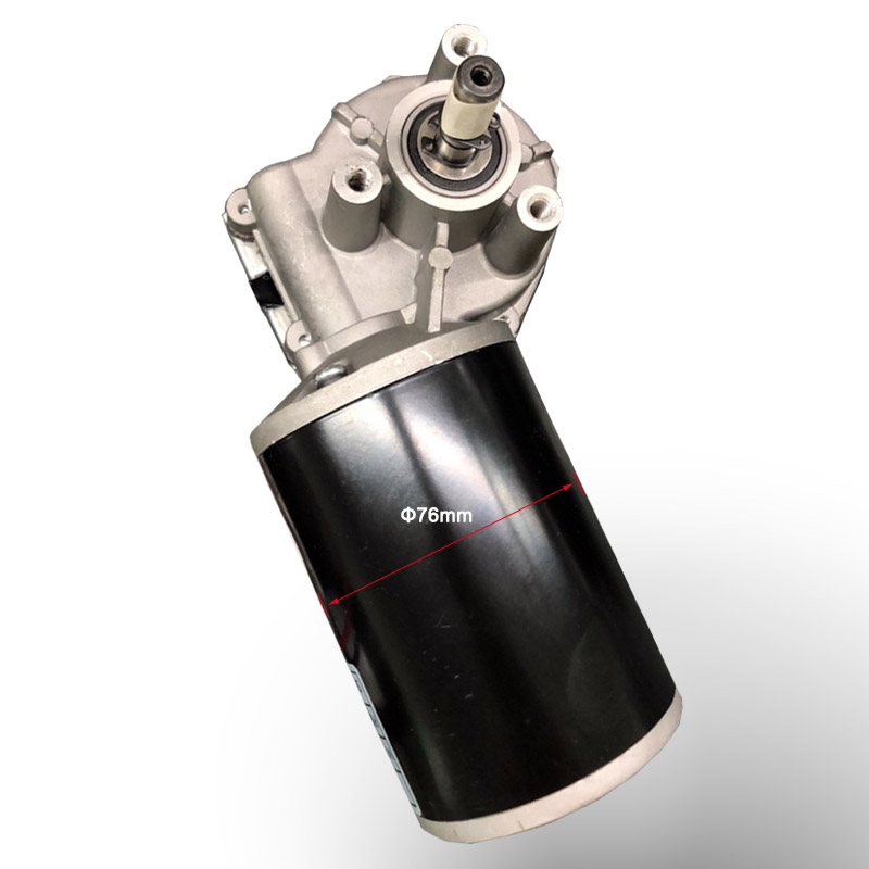 China Gear Motor