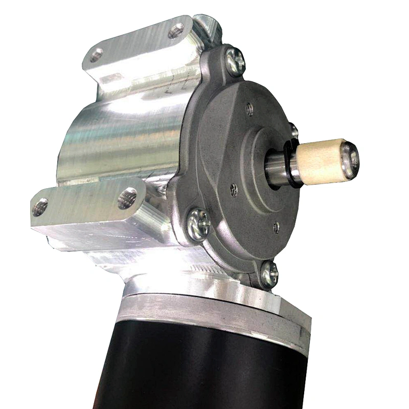 12V 24V 36V 50W 100W carbon brush gear DC motor 63mm