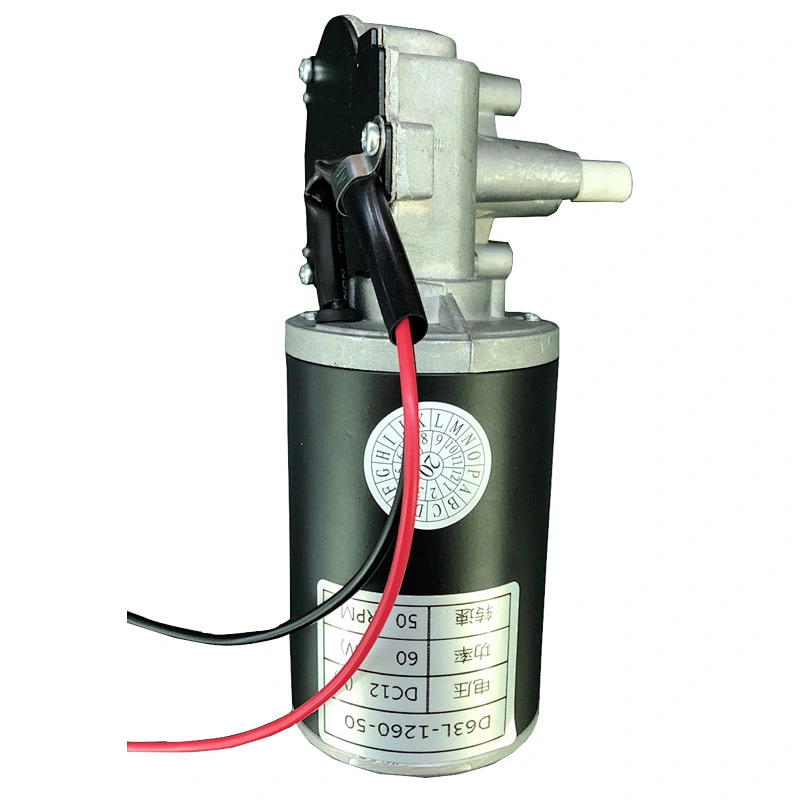 Custom Dc Worm Geared Motor 24V 300W Low Noise Small Electric Gear Motor 63mm
