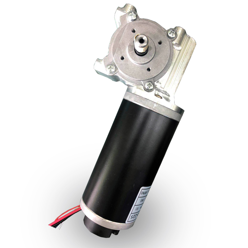12V 24V 36V 50W 100W carbon brush gear DC motor 63mm