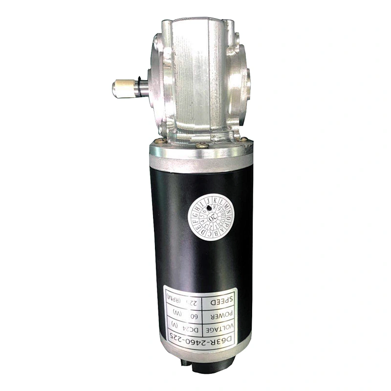 12V 24V 36V 50W 100W carbon brush gear DC motor 63mm