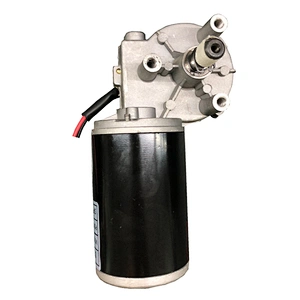 Customized 12v 24 Volt Gear Motor Brush Permanent Magnet DC Motor 59mm