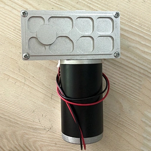 DC geared brush motor for garbage processor