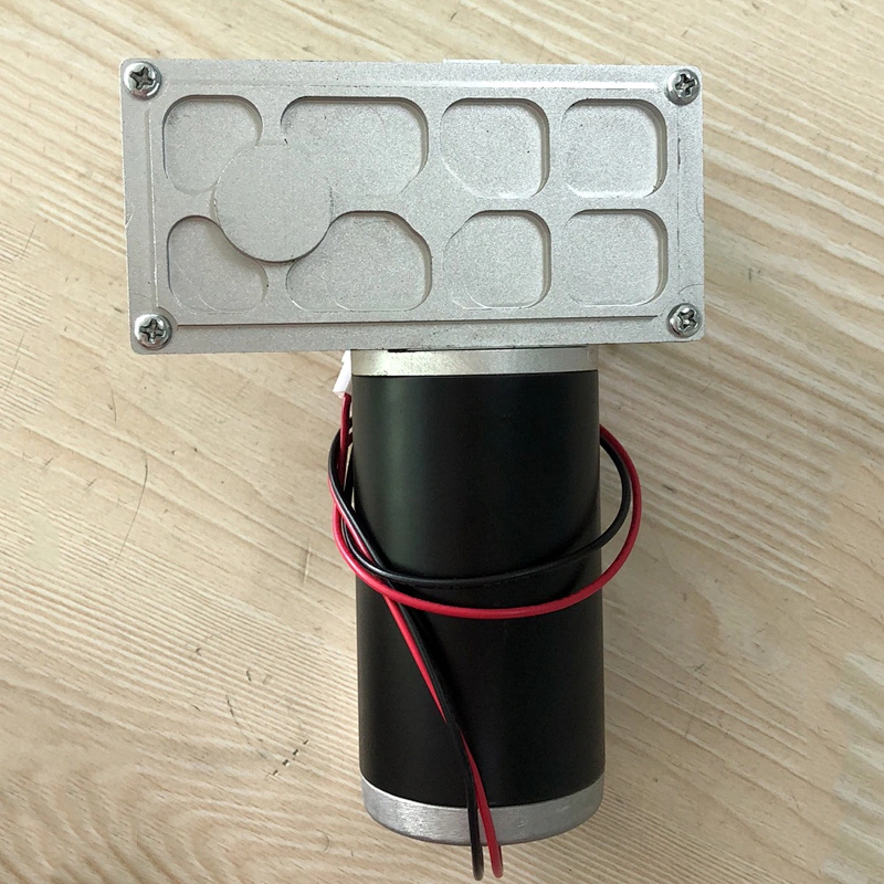 DC geared brush motor for garbage processor