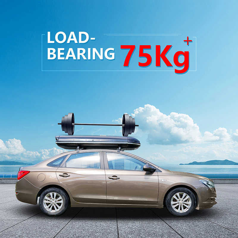SUV Roof Cargo Box