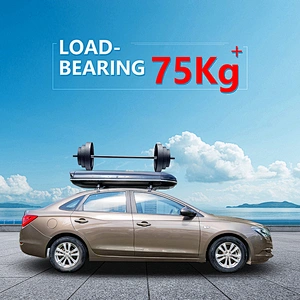 SUV Roof Cargo Box