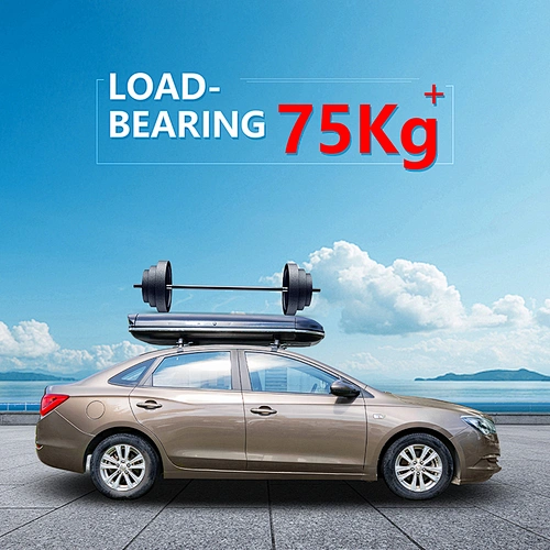 SUV Roof Cargo Box