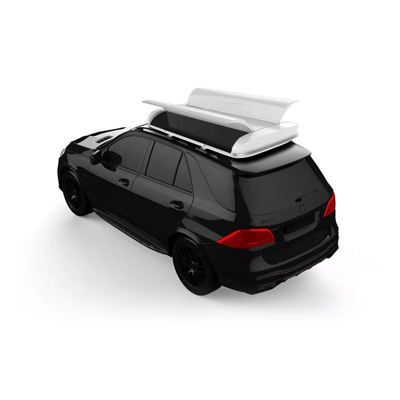 Remote Control Car Umbrella