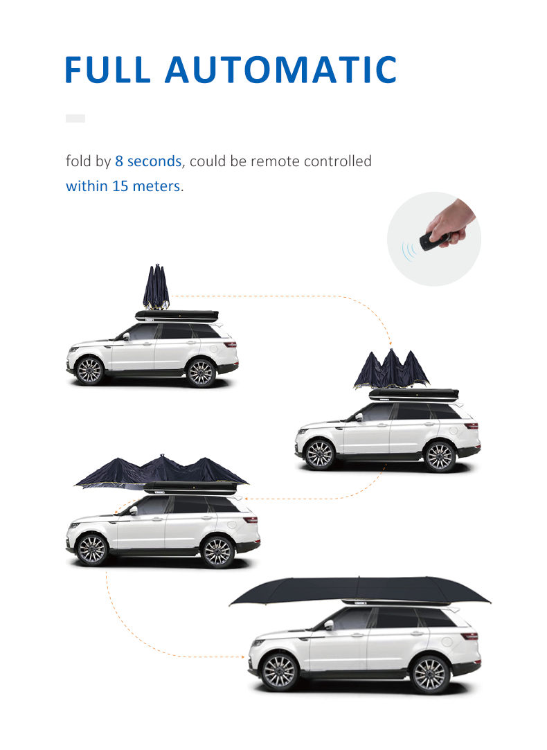 Remote Control Car Umbrella