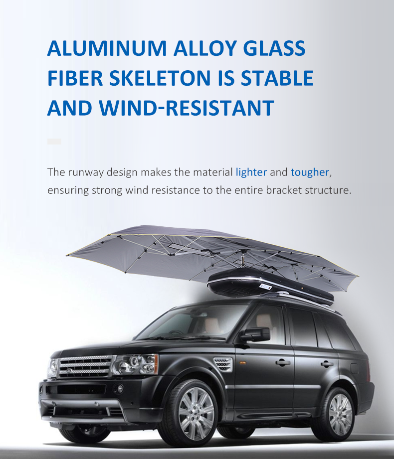 Remote Control Car Umbrella