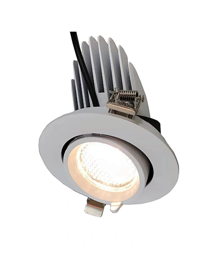 Adjustable LED downlights Trunk Lamp LED spotlight maker