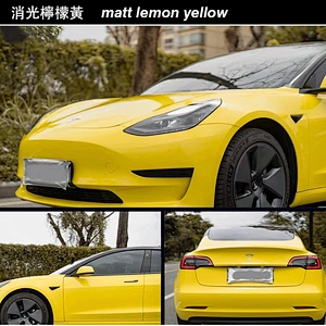 Extinction series car color change film whole body modification film vehicle color change sticker
