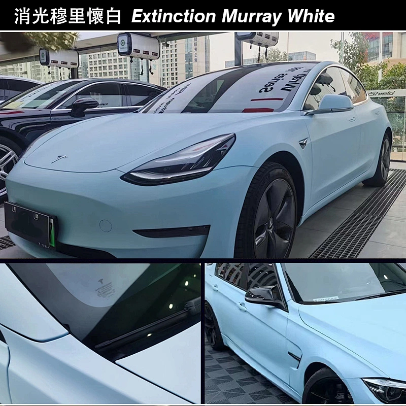 Extinction series car color change film whole body modification film vehicle color change sticker