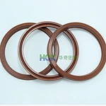 Common fault causes and troubleshooting methods of skeleton oil seals