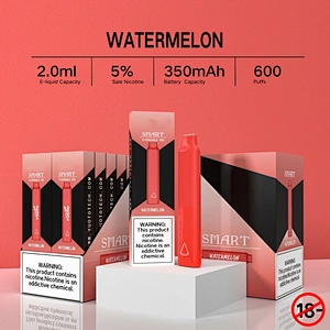 SMART Disposable Vape Pen 600 Puffs