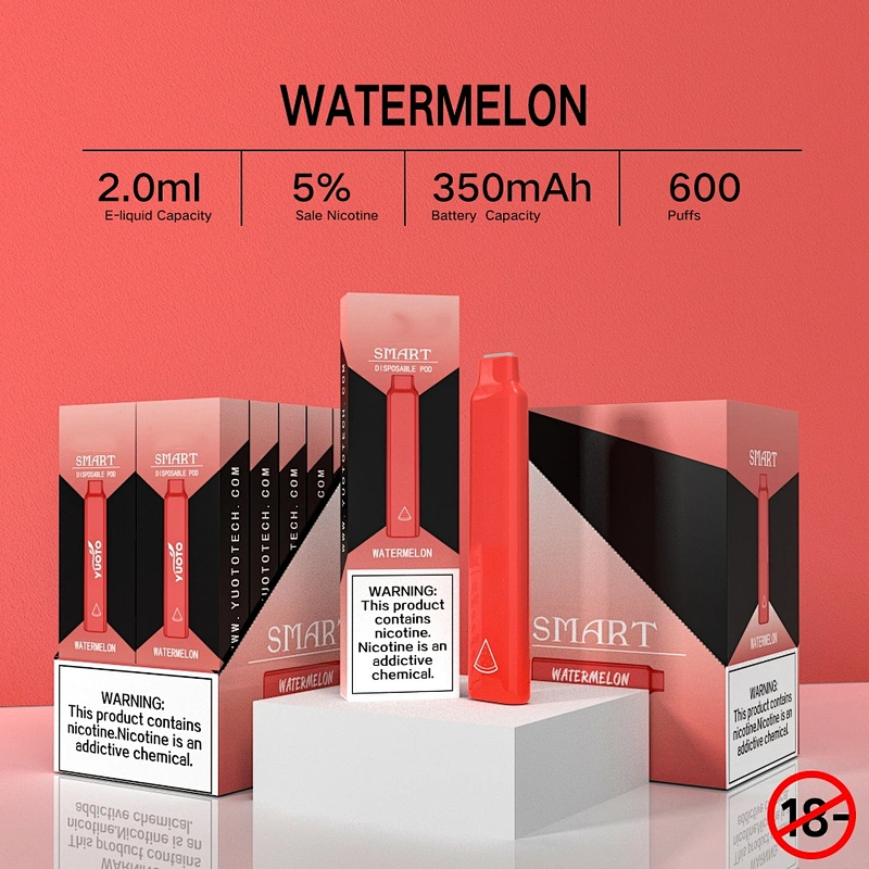 SMART Disposable Vape Pen 600 Puffs