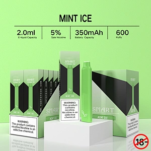 SMART Disposable Vape Pen 600 Puffs
