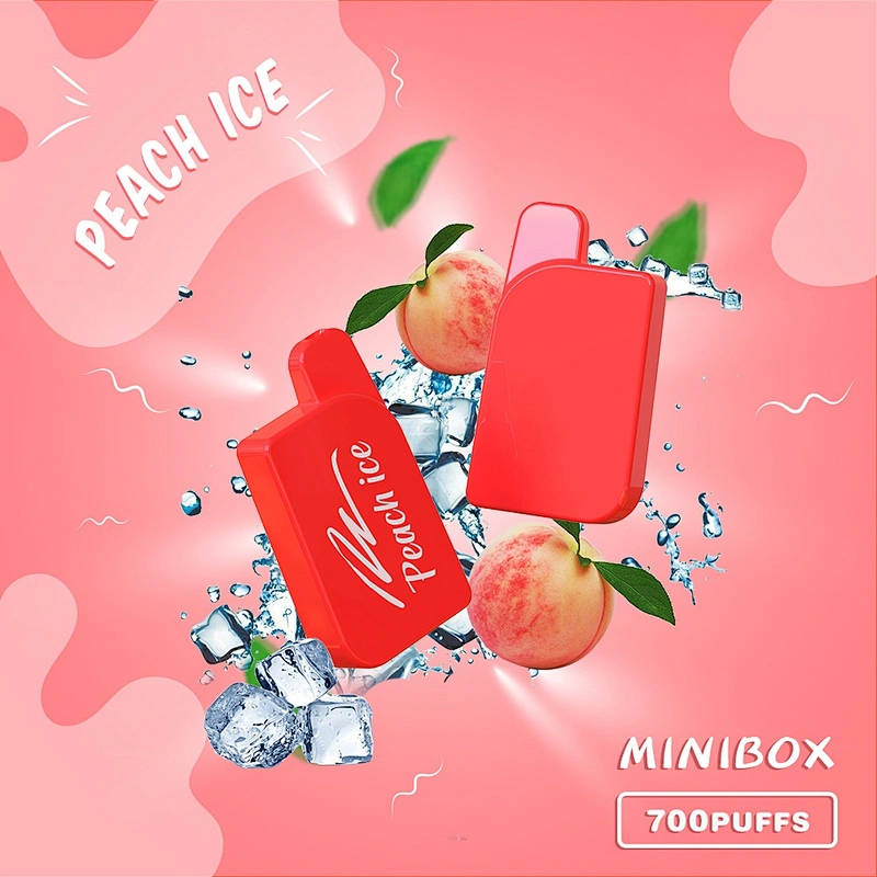MINIBOX Disposable Vape 700 Puffs