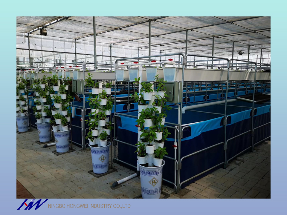 19000L collapsible  PVC Tarpaulin fish tank for fish farm
