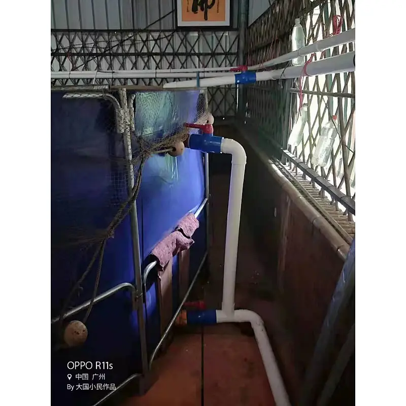 Plastic Aquarium Ponds for Aquaculture Farm