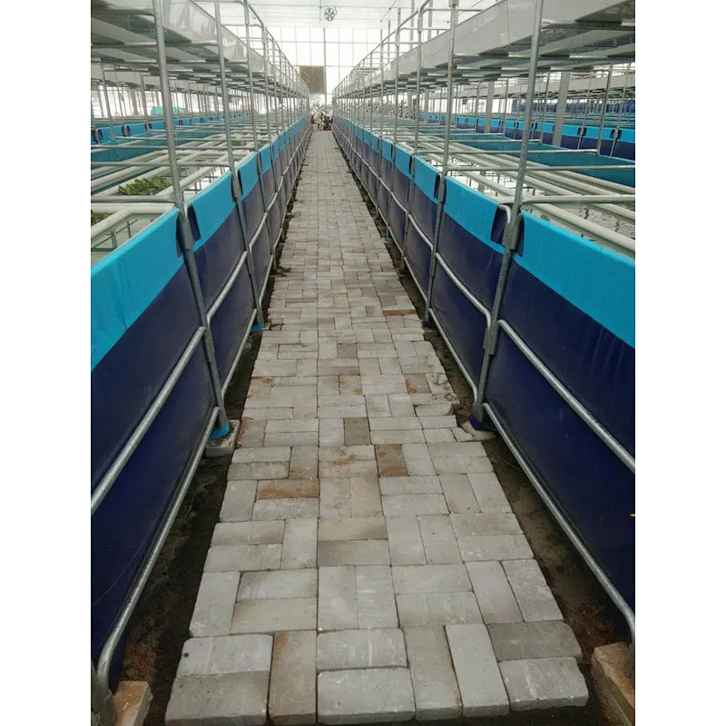 Plastic Aquarium Ponds for Aquaculture Farm