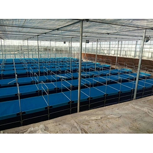 3000 Liters Fordable PVC Tarpaulin Fish Tank  with Steel