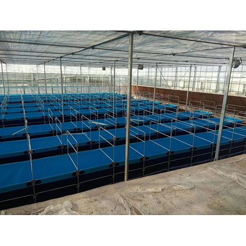 Plastic Aquarium Ponds for Aquaculture Farm