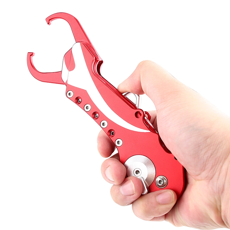 Collaspsible fishing lip grip