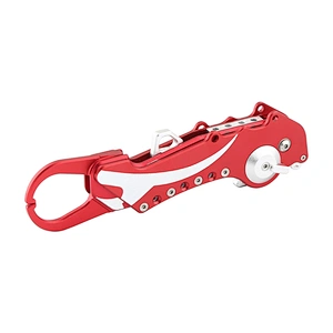 Collaspsible fishing lip grip