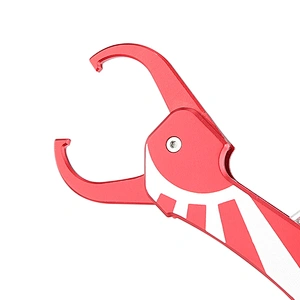 Collaspsible fishing lip grip