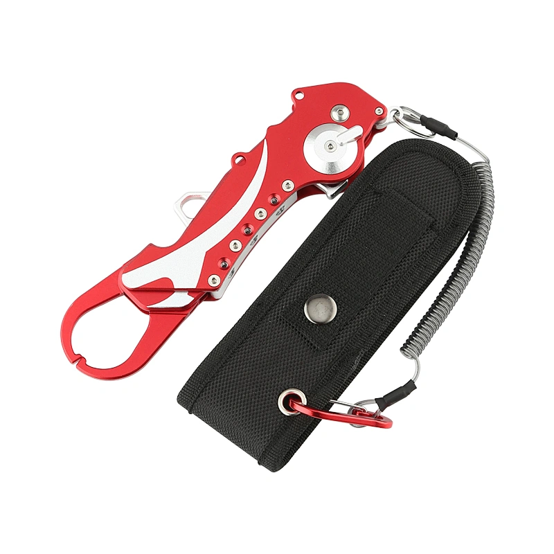 Collaspsible fishing lip grip