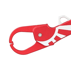 Collaspsible fishing lip grip