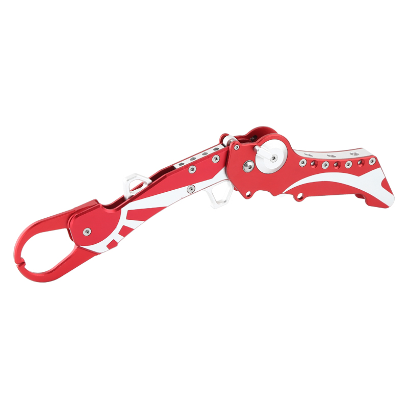 Collaspsible fishing lip grip