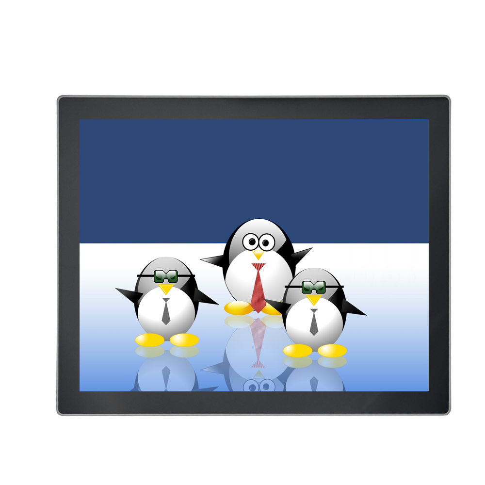 Flat Screen 17 Inch Industrial All In One Capacitive Touchscreen Computer PC VESA Mountable