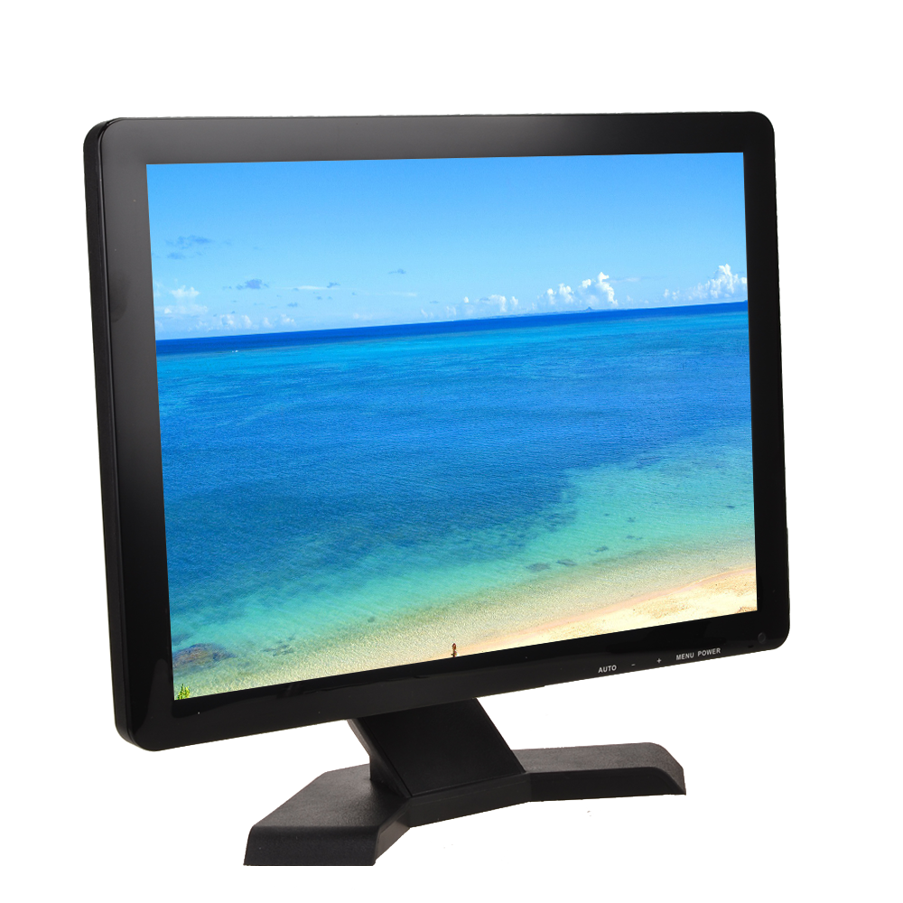 widescreen 19inch vga monitor